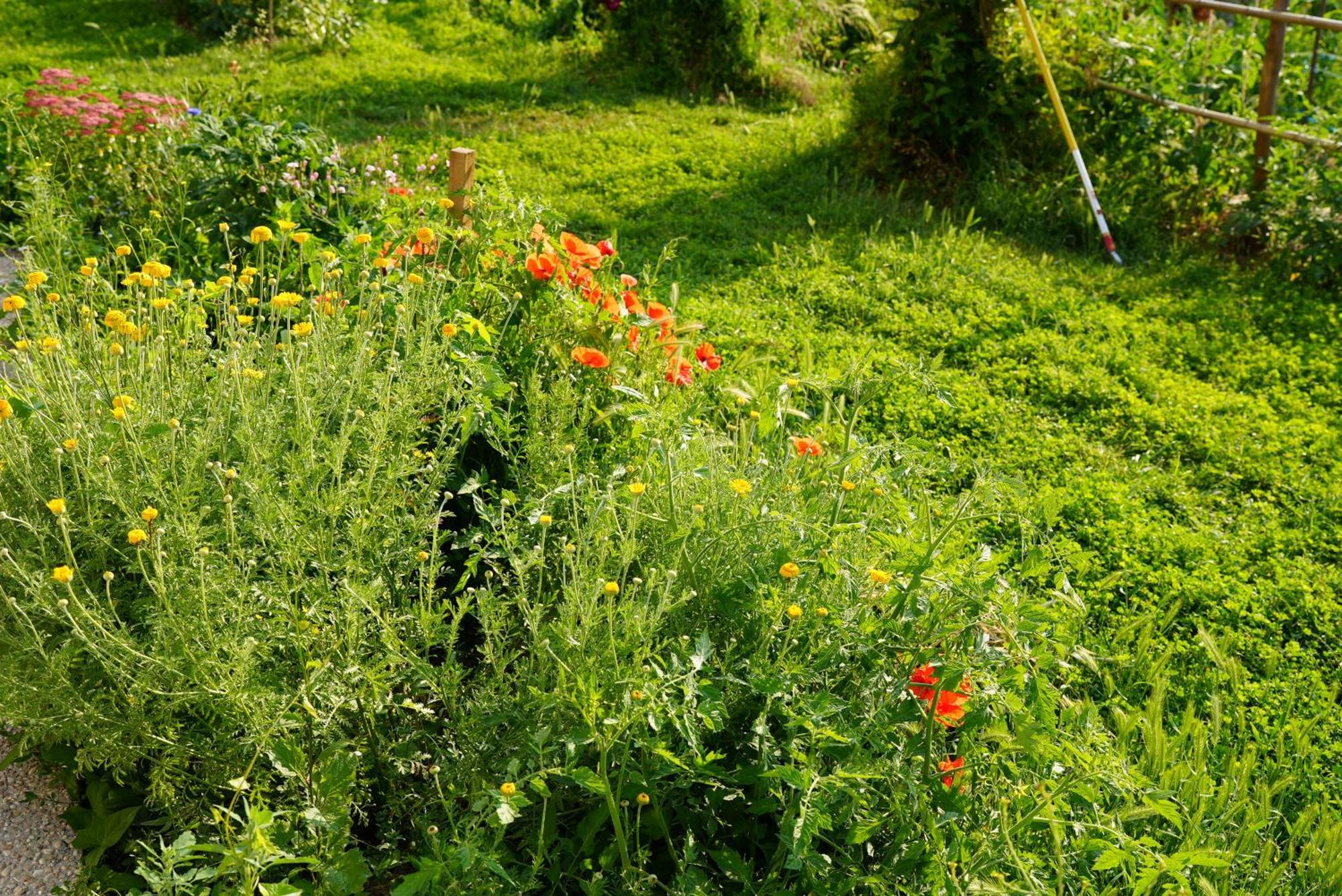 Les Jardins De Felicie Villa Poses Exterior photo